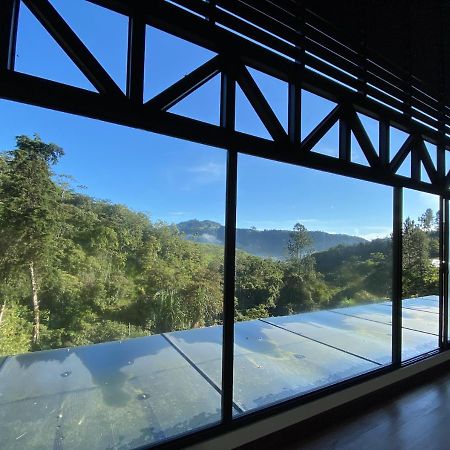 Arte de Plumas birding lodge Cartago Exterior foto